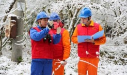 成都电力爆料事件最新,揭秘背后真相与行业反思